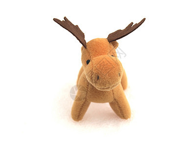 圣诞鹿钥匙麋鹿卡片庆典白色玩具季节性季节驼鹿图片