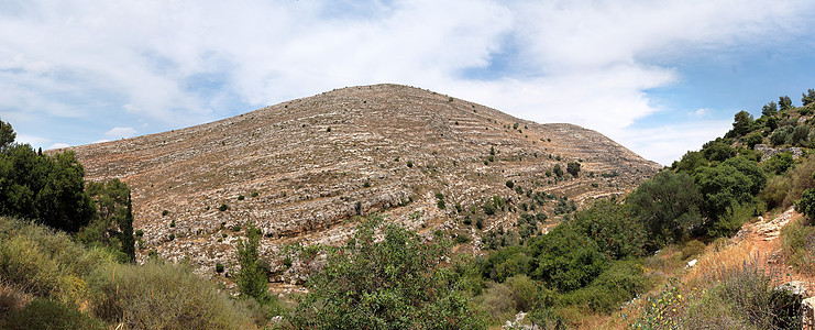犹太山地景观树木全景森林条纹灌木丛丘陵绿色山脉白色风景图片