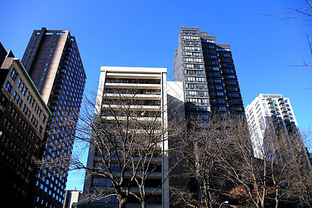 纽约摩天大楼苹果建筑生活蓝色蓝天背景城市图片