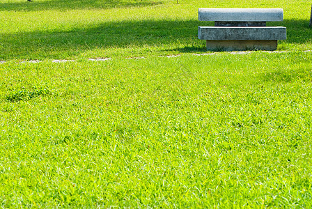 石路和石板人行道叶子椅子途径场景公园季节岩石院子花园图片