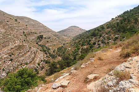 犹太山地景观植被山脉条纹风景绿色白色巨石全景石头灌木丛图片