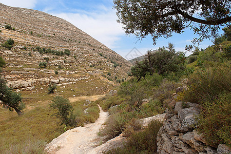 犹太山地景观条纹全景巨石植被灌木丛丘陵树木山脉分支机构石头图片