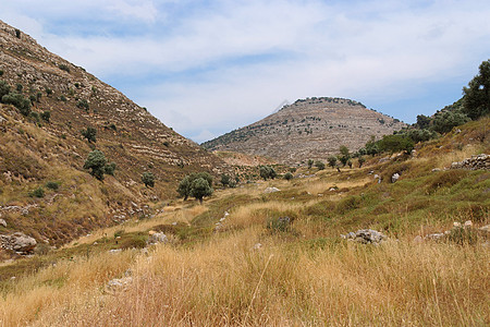 犹太山地景观植被丘陵石头白色森林灌木丛树木全景山脉风景图片