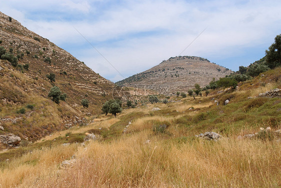 犹太山地景观植被丘陵石头白色森林灌木丛树木全景山脉风景图片