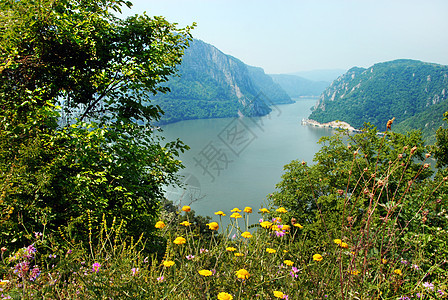 多瑙河峡谷植物流动河岸花朵国家沟壑爬坡边界公园图片