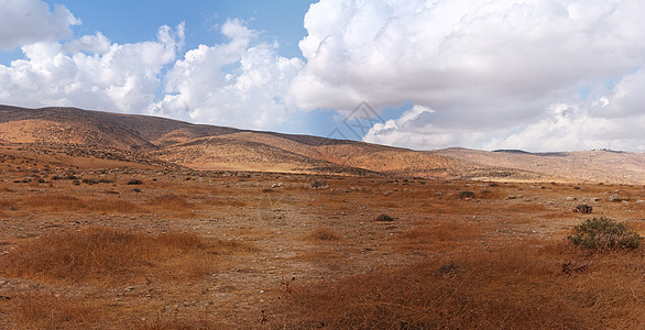 以色列内盖夫沙漠边缘希伯伦山南坡景观橙子森林条纹植被石头山脉灌木丛全景巨石丘陵图片