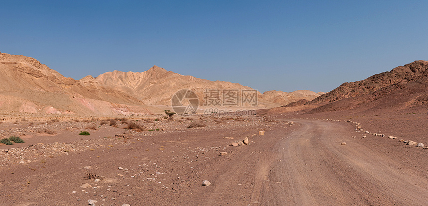 在岩石沙漠的旅游者足迹图片