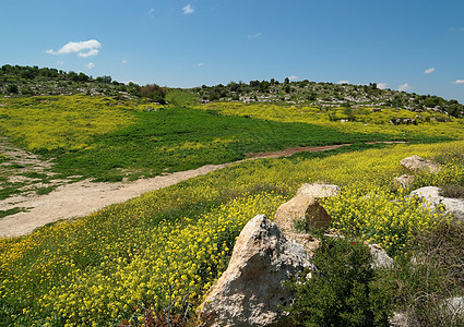 春季的地中海山丘风景花朵天空石头蓝色丘陵植被远足巨石踪迹小路图片