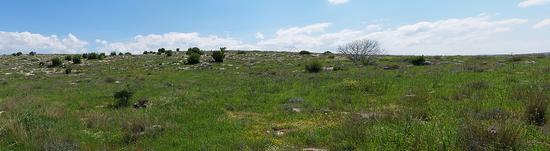 春季的地中海山丘风景绿色巨石丘陵植被天空蓝色树木石头灌木丛全景图片