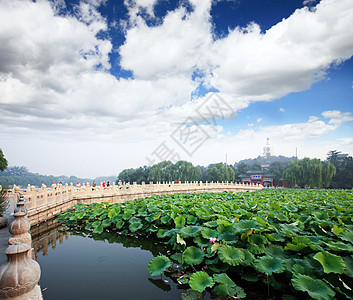 北京紫禁城附近的Beihai公园城市皇帝宝塔游客文化绘画地标百合首都公园图片