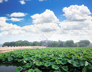 北京紫禁城附近的Beihai公园文化地标历史首都百合多样性吸引力宝塔城市游客图片