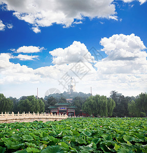 北京紫禁城附近的Beihai公园宝塔百合寺庙公园首都吸引力狮子游客文化地标图片
