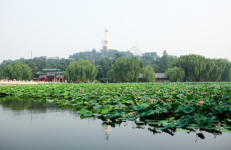 北京紫禁城附近的Beihai公园多样性居民公园中心百合文化地标宝塔狮子首都图片
