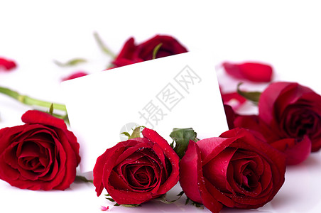 红玫瑰展示浪漫玫瑰花束笔记婚礼庆典生日卡片植物群背景