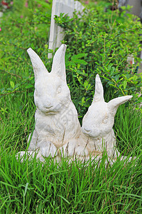 兔子雕像毛皮植物花岗岩雕塑绿色宠物晴天栅栏野兔衬套图片