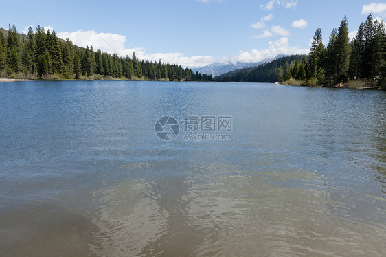 休梅湖森林松树风景蓝色季节假期树木公园天空红杉图片