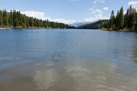 休梅湖晴天荒野红杉国家森林蓝色天空公园树木风景图片