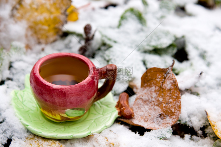 在雪覆盖的叶子背景上喝杯茶黑色树叶落叶飞碟图片