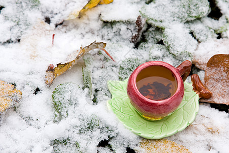 在雪覆盖的叶子背景上喝杯茶飞碟落叶黑色茶托树叶图片