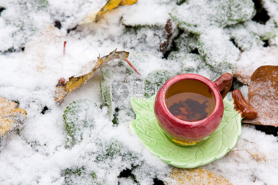 在雪覆盖的叶子背景上喝杯茶飞碟落叶黑色茶托树叶图片