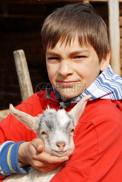 带小山羊的少年男孩家畜男性男生农家院晴天农村动物阳光山羊农业图片