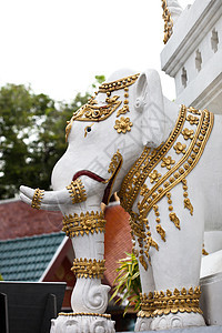 大象白旅游旅行雕塑绘画艺术白色雕像身份地标摄影图片