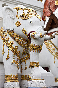 大象白国家身份绘画摄影文化雕像雕塑地标寺庙白色图片