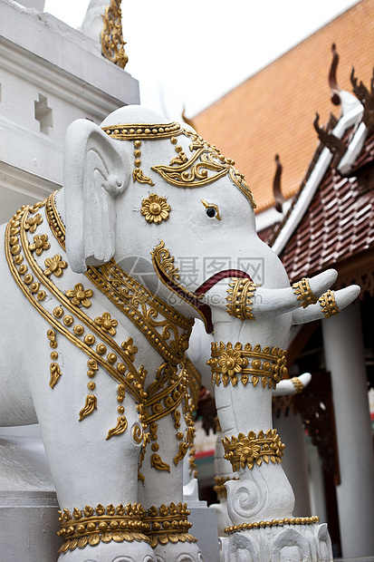 大象白艺术白色雕塑雕像国家寺庙绘画旅游身份旅行图片