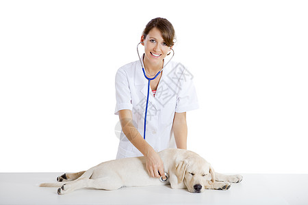 照顾狗的兽医学考试助手女孩微笑诊所医院诊断工人检查医生图片
