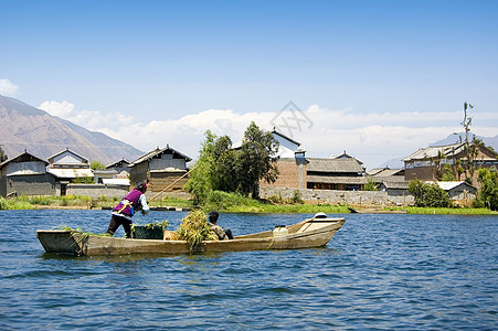 中国农民工人植物乡村种植园蔬菜国家栽培旅行食物场景图片