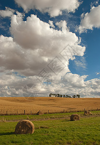 美国爱达荷州拉塔县Haybales 农田 树木和云图片