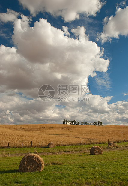 美国爱达荷州拉塔县Haybales 农田 树木和云图片