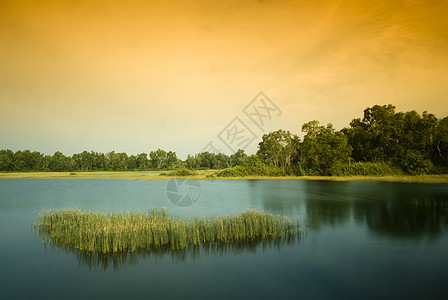 湿地池塘危险地平线天空植物群橙子日落沼泽河岸热带图片