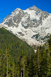Shuksan山 美国华盛顿北Cascades国家公园图片