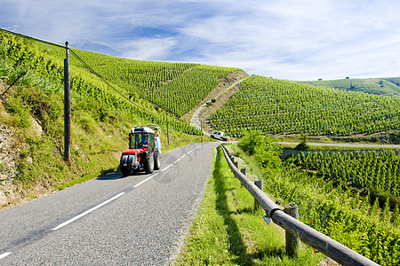 法国罗昂阿尔卑斯 科特罗蒂国家培育外观道路拖拉机农村藤蔓酒业葡萄机械图片