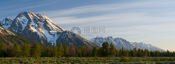 美国怀俄明州泰顿县Grand Teton国家公园Moran山(左)和清晨绿林图片