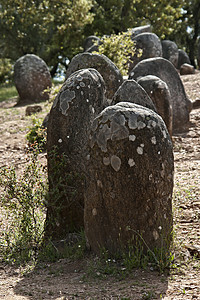 埃沃拉阿尔门德雷斯巨石纪念碑石器花岗岩岩石历史结盟旅游时代纪念碑地标历史性图片