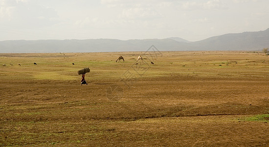 坦桑尼亚 - 1图片