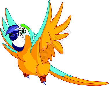 飞行鹦鹉宠物剪贴蓝色微笑热带卡通片插图图片