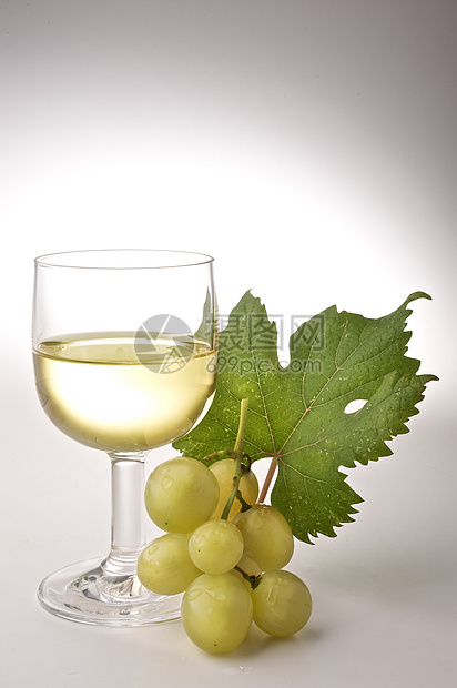 葡萄酒杯收成树叶白酒葡萄园玻璃藤蔓图片