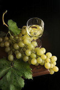 葡萄酒杯树叶葡萄园玻璃收成白酒藤蔓图片
