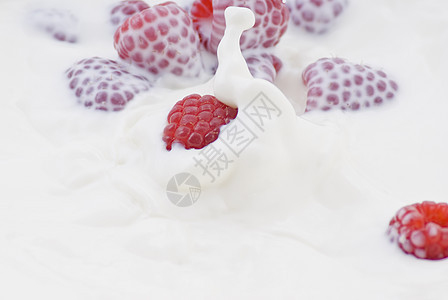 草莓掉进牛奶里营养团体水果小吃饮食甜点食物圆形白色树叶图片