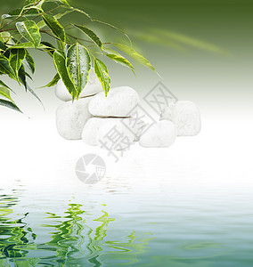 白石上叶子福利温泉波浪生态治疗植物群冥想框架反射环境图片