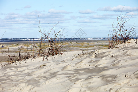 沙丘和海边海滩图片