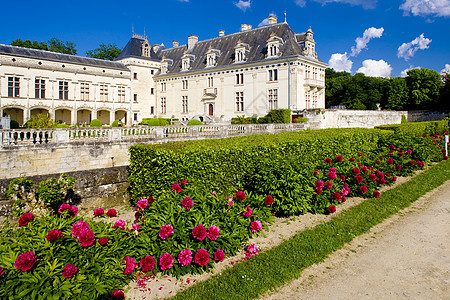 法国花朵植物学历史性旅行城堡历史建筑学建筑物宫殿园艺图片