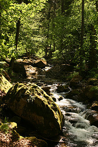 山区流灰色山脉森林树叶岩石黑色棕色巨石农村瀑布图片