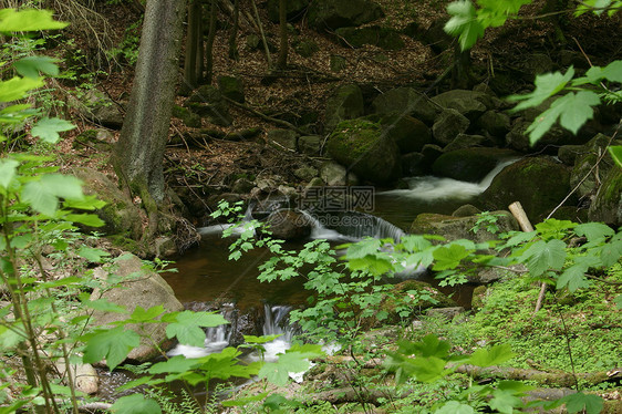 山区流棕色巨石森林山脉岩石农村石头瀑布黄色绿色图片