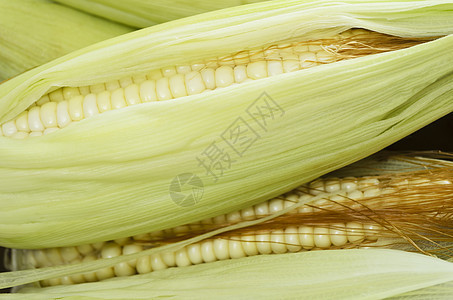 玉米鳕蔬菜收成核心植物食物棒子绿色玉米图片