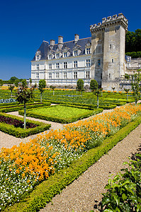 法国中心花园的Vendry城堡宫殿建筑学世界遗产外观植物群花朵旅行植物学历史性景点图片