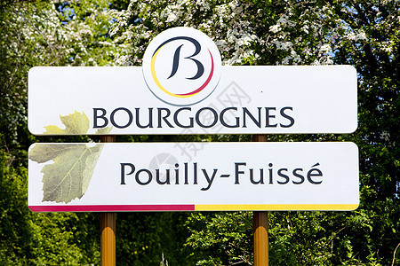 法国勃伦迪 科特马孔奈斯世界位置葡萄栽培酒业外观种植马孔图片